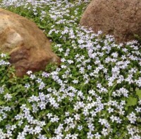 /album/fotogalerie/ei2-279-jpg/